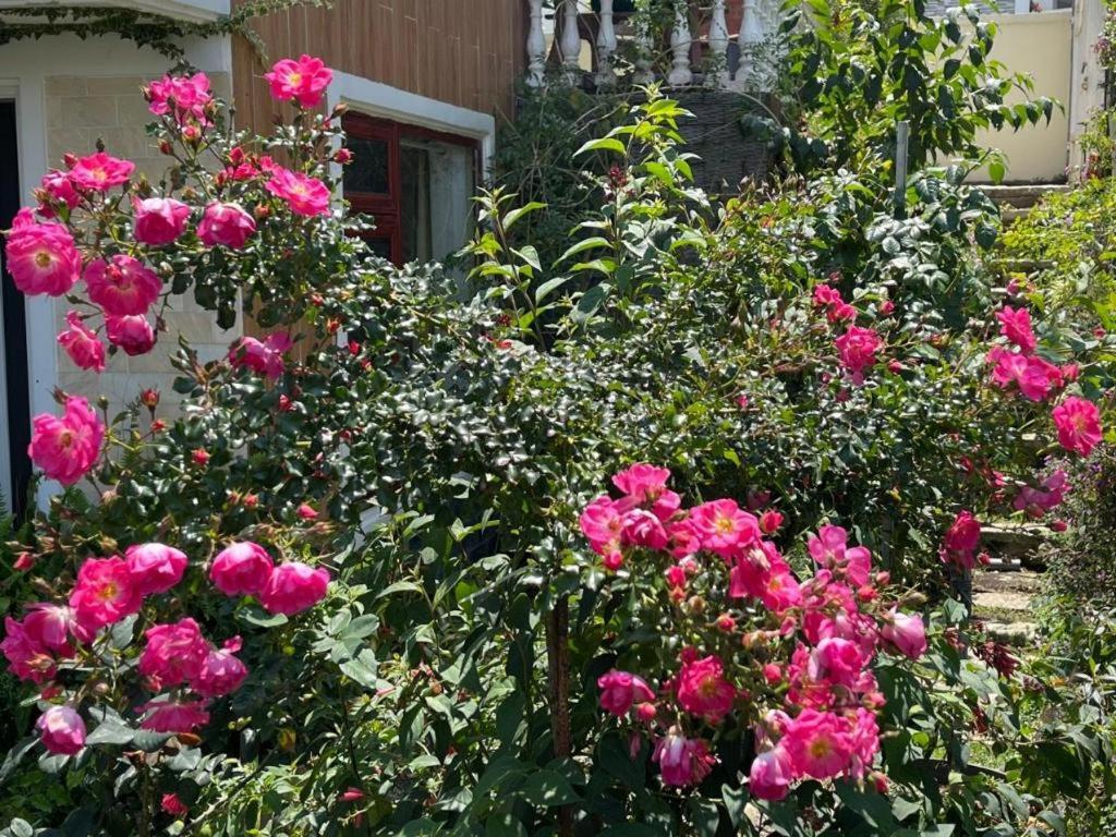 La Roza Dalat Boutique Hotel Buitenkant foto