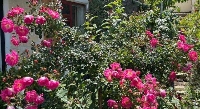 La Roza Dalat Boutique Hotel Buitenkant foto